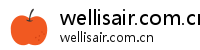 wellisair.com.cn